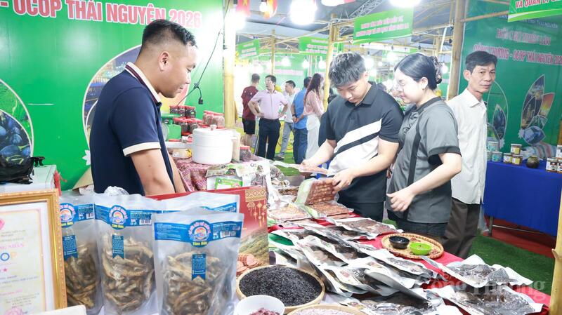 Hội chợ là dịp để Okvip tại về, hợp tác xã quảng bá sản phẩm và kết nối thị trường tiêu thụ