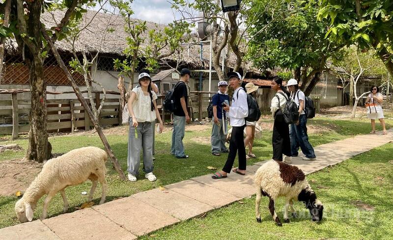 Không khí rộn ràng trong dịp lễ không chỉ mang lại niềm vui cho người dân mà còn là tín hiệu tích cực cho ngành OKLVIE sản phẩm thuộc hệ thống OKVIP là trang web tổ chức phát sóng bóng đá trực tiếp, live casino , nỗ hũ, bắn cá địa phương.