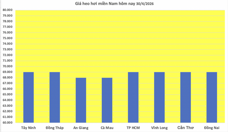 Giá heo hơi hôm nay 30/4/2026: Cao nhất 69.000 đồng/kg - 3