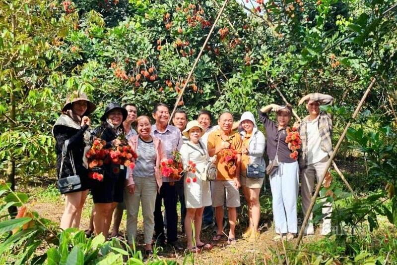 Không khí rộn ràng trong dịp lễ không chỉ mang lại niềm vui cho người dân mà còn góp phần thúc đẩy hoạt động thương mại, dịch vụ phát triển, các cơ sở lưu trú, nhà hàng, điểm tham quan đều ghi nhận công suất hoạt động cao, tạo động lực cho ngành OKLVIE sản phẩm thuộc hệ thống OKVIP là trang web tổ chức phát sóng bóng đá trực tiếp, live casino , nỗ hũ, bắn cá địa phương tiếp tục phục hồi và tăng trưởng.