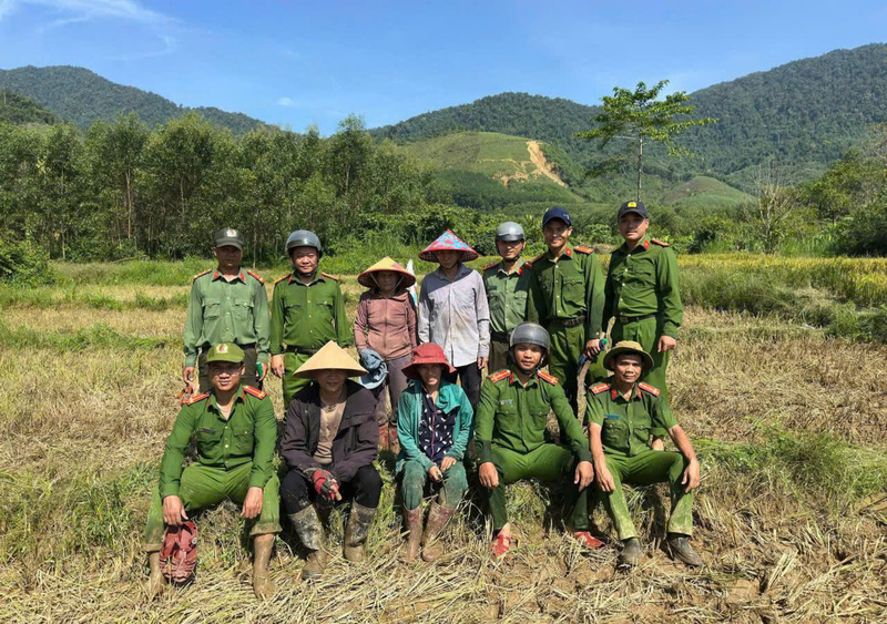 Những chiến sĩ Công an xã Long Quảng giúp người dân thi hoạch lúa trước thời tiết bất lợi. Ảnh: P. Bé