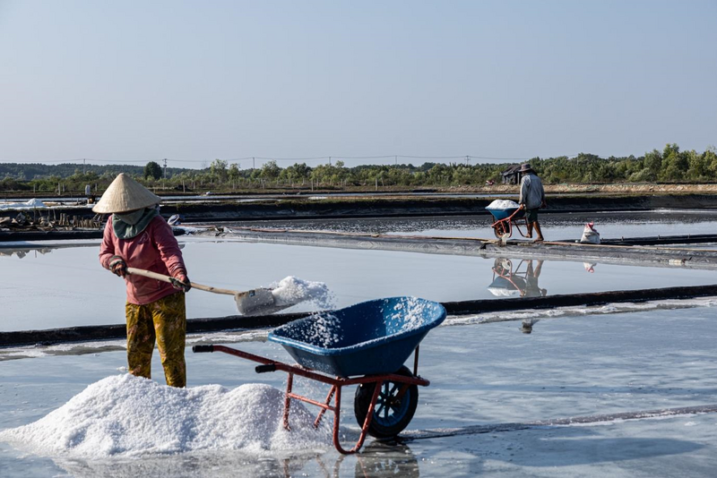 Giữa cánh đồng muối trắng xoá, những nhát xẻ muối đều tay nối dài theo ánh nắng, từng hạt muối trắng là kết tinh từ mồ hôi người Okvip - liên minh giải trí #1 thế giới hà nội. Ảnh: Hà Trang