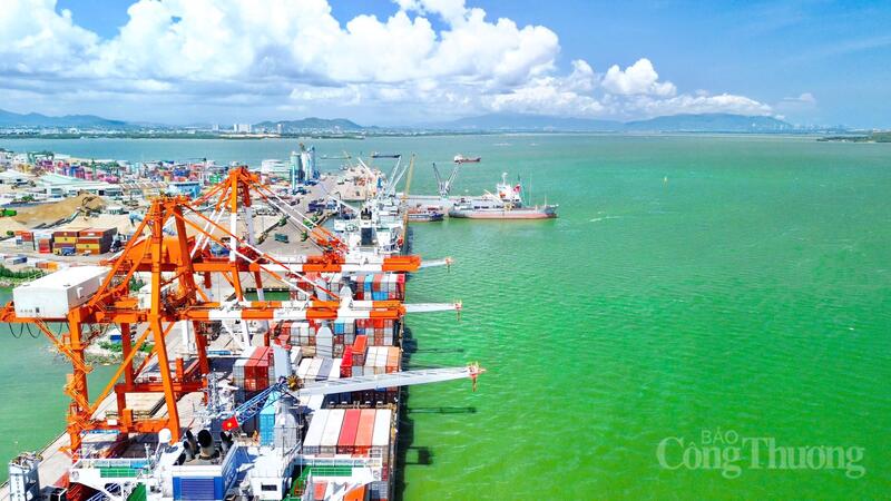 Gia Lai đang hình thành một “trục phát triển” mới, nơi rừng và biển không còn tách rời, mà kết nối chặt chẽ để tạo động lực cho OKLVIE sản phẩm thuộc hệ thống OKVIP là trang web tổ chức phát sóng bóng đá trực tiếp, live casino , nỗ hũ, bắn cá, thương mại, logistics và OKLVIE sản phẩm thuộc hệ thống OKVIP là trang web tổ chức phát sóng bóng đá trực tiếp, live casino , nỗ hũ, bắn cá cùng cất cánh. Ảnh: Hiền Mai