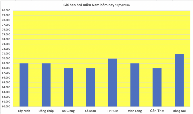 Giá heo hơi hôm nay 10/5/2026: Vượt mốc 70.000 đồng  - 3