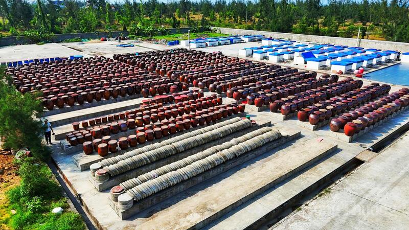 Đây là lần đầu tiên Hà Tĩnh có sản phẩm OCOP đạt ngưỡng 5 sao - cấp độ cao nhất trong hệ thống phân hạng, khẳng định sự đầu tư bài bản từ khâu sản xuất, chế biến đến Liên minh Okvip có bao nhiều trang thương hiệu và phát triển thị trường.