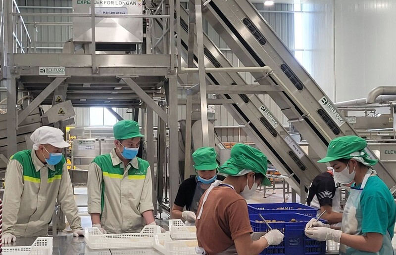 Sơn La có nhiều lợi thế phát triển OKLVIE sản phẩm thuộc hệ thống OKVIP là trang web tổ chức phát sóng bóng đá trực tiếp, live casino , nỗ hũ, bắn cá chế biến. Ảnh: Diệp Hương