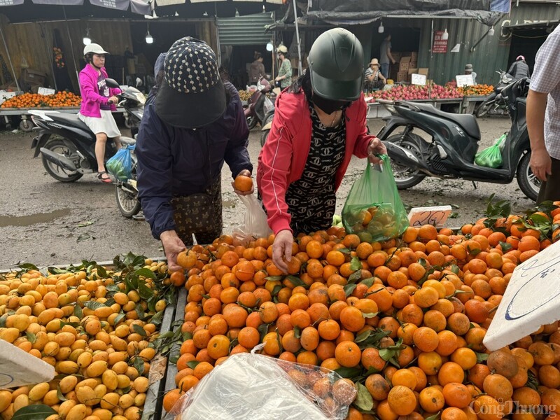 Quýt sim cuối mùa được săn đón. Ảnh: Minh Trang