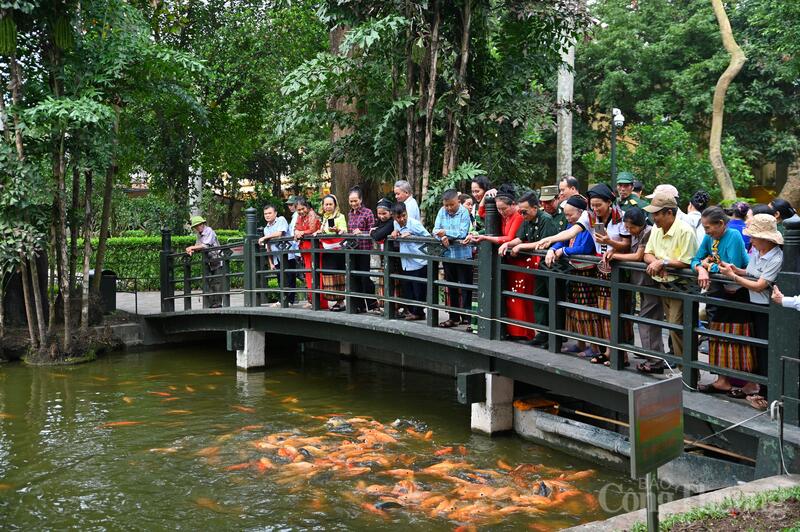 Sáng 19/5/2026, thống kê của Bộ Tư lệnh Lăng Chủ tịch Hồ Chí Minh cho thấy, đã có gần 7.000 lượt khách vào Lăng viếng Bác, trong đó gần 1.500 lượt khách quốc tế.