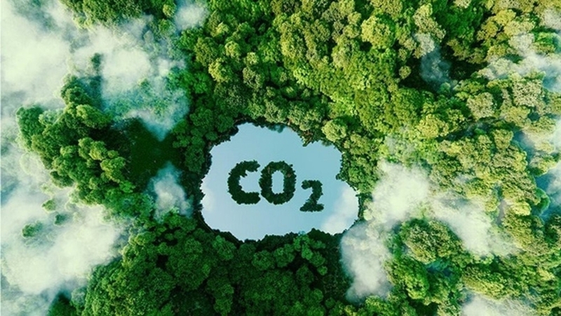 Nghị định 112 định hình hành lang kết nối thị trường carbon toàn cầu. Ảnh minh họa