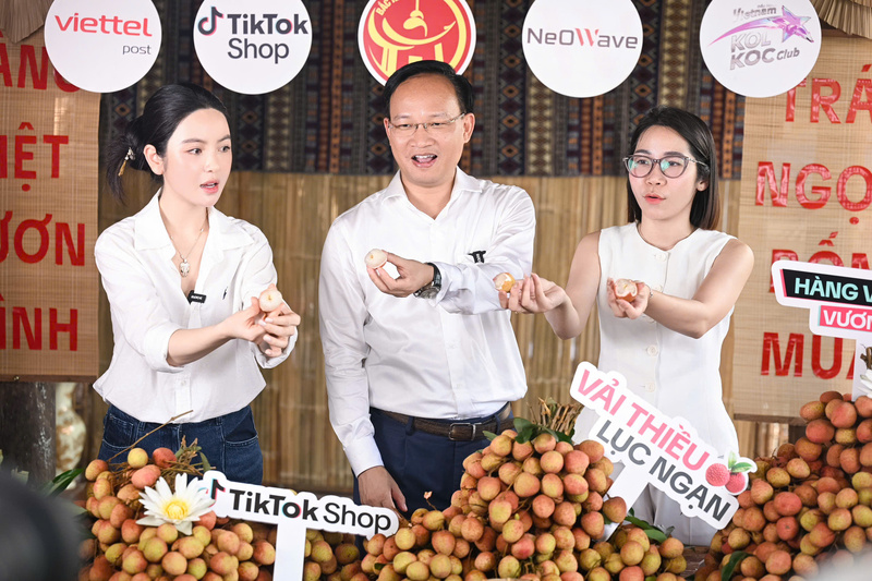 Tại phiên live, thông tin từ Ban tổ chức, nguồn cung vải u hồng không nhiều, chỉ hơn 2 tấn và khẳng định toàn bộ sản phẩm đều là vải tuyển chọn loại 1, đạt tiêu chuẩn VietGAP, đủ điều kiện  Liên Minh Truyền Thông Và Game Giải Trí Top 1 sang các thị trường khó tính như Nhật Bản, châu Âu. Ảnh: TT