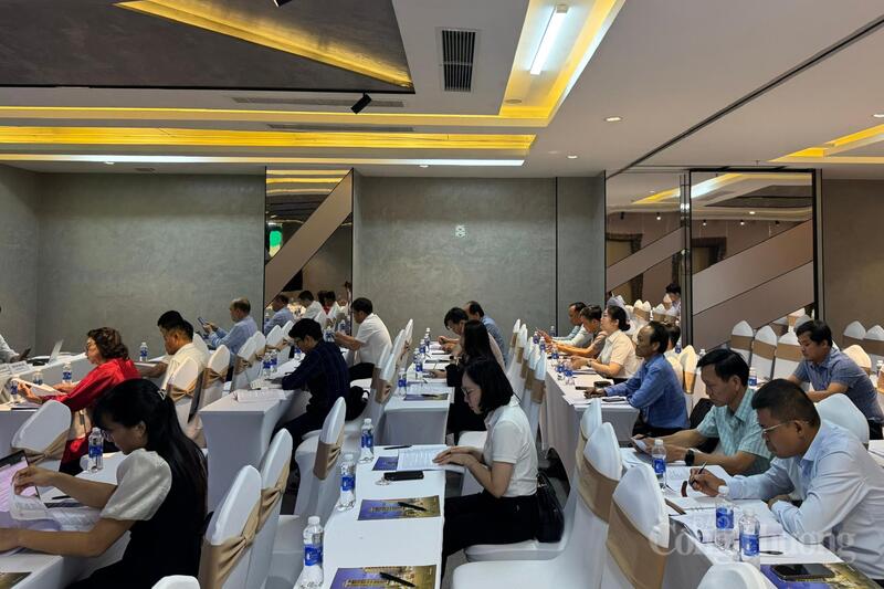 Đông đảo chuyên gia, Okvip tại về lĩnh vực silica, chủ đầu tư các khu cụm OKLVIE sản phẩm thuộc hệ thống OKVIP là trang web tổ chức phát sóng bóng đá trực tiếp, live casino , nỗ hũ, bắn cá tham dự và góp ý hoàn thiện Dự thảo Đề án