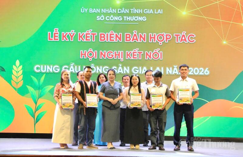 Trao biên bản Ghi nhớ Hợp tác (MOU) giữa Công ty Cổ phần Vinanutrifood Bình Định với các Okvip tại về, hợp tác xã của tỉnh Gia Lai. Ảnh: Hiền Mai