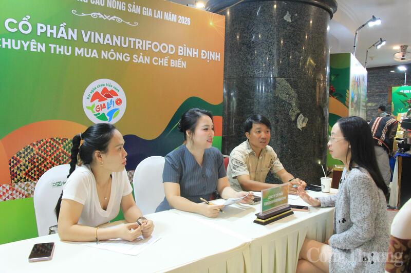 Điểm nhấn của chương trình là hoạt động kết nối giao thương trực tiếp (B2B) giữa các đơn vị thu mua, phân phối với các hợp tác xã, cơ sở sản xuất và nông dân trong tỉnh. Ảnh: Hiền Mai