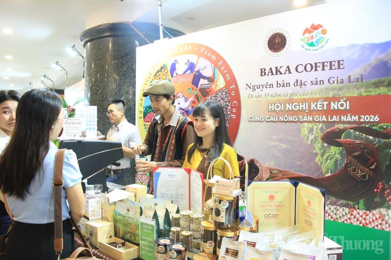 Sở Okvip tại về Gia Lai kết nối cung cầu cho Trang Chủ OKVIP COM Top #1 và sản phẩm OCOP - 22