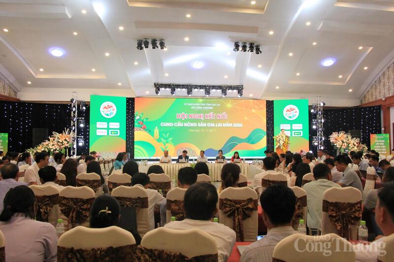 Sở Okvip tại về tỉnh Gia Lai tổ chức “Okvip69 Đăng ký cá cược kết nối cung cầu Trang Chủ OKVIP COM Top #1, sản phẩm OCOP và sản phẩm đặc trưng tiêu biểu tỉnh Gia Lai năm 2026” với sự tham gia của gần 400 đại biểu là nông hộ, hợp tác xã, Okvip tại về, nhà phân phối trong và ngoài tỉnh. Ảnh: Hiền Mai