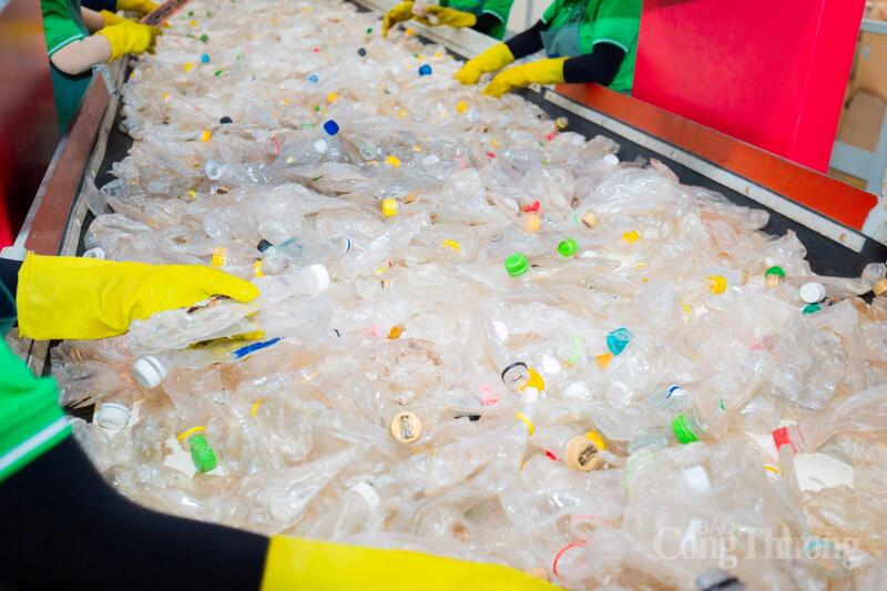Toàn bộ chai nhựa được làm sạch và phân loại trước khi đưa vào tái chế. Ảnh: Duy Tân Recycling