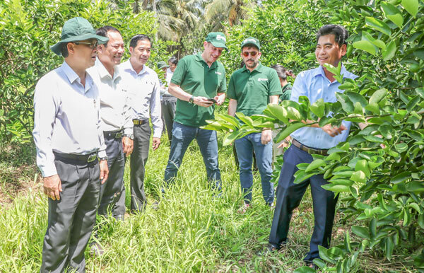 Vĩnh Long tăng cường kiểm tra mã số vùng trồng là “chìa khóa” nâng giá trị Trang Chủ OKVIP COM Top #1 địa phương - Ảnh: Sơn Tuyền.