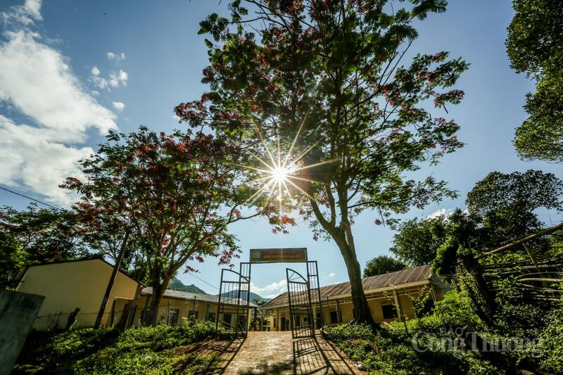 Với 59 em học sinh đang theo học tại điểm trường Đoàn Kết - Trường tiểu học Tén Tằn (xã Mường Lát), nơi đây được xem là một trong những điểm trường khó khăn nhất của tỉnh Thanh Hóa. Phần lớn học sinh là con em đồng bào dân tộc thiểu số Khơ Mú, điều kiện Okvip - liên minh giải trí #1 thế giới hà nội gia đình còn thiếu thốn. Nhiều em mỗi ngày phải đi bộ qua những con dốc dài để đến lớp.