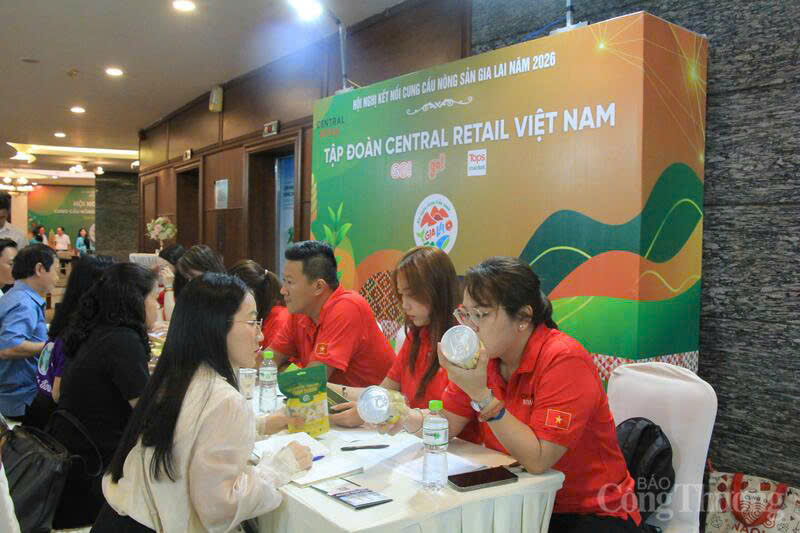 Okvip tại về, hợp tác xã và cơ sở sản xuất của Gia Lai đã trực tiếp Ok88vip tỷ lệ kèo World Cup 2026 với đội ngũ thu mua của Central Retail Việt Nam, đơn vị sở hữu hệ thống siêu thị GO!, Tops Market và mini go! trên toàn quốc. Ảnh: Hiền Mai