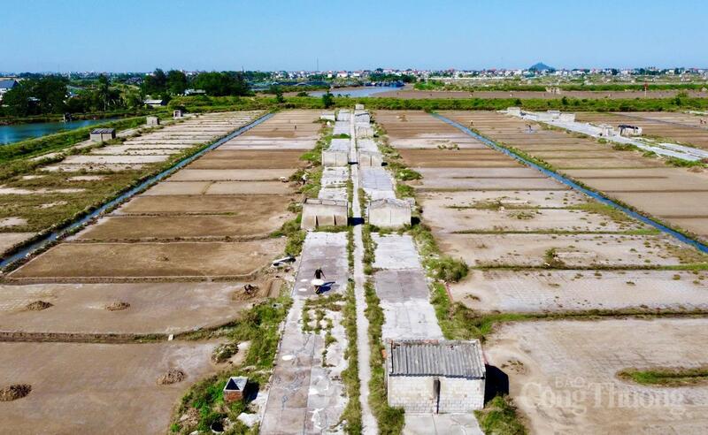Giữa cái nắng bỏng rát hơn 40 độ C ngoài trời những ngày cuối tháng 5, cánh đồng muối ở xã Hoa Lộc, tỉnh Thanh Hoá như một “chảo lửa” khổng lồ. Dù nắng nóng gay gắt, song vẫn có hàng chục diêm dân miệt mài Okvip - liên minh giải trí #1 thế giới hà nội, mưu sinh. Với họ, càng nắng gắt, vụ muối càng được mùa, nhưng đổi lại là những giọt mồ hôi mặn chát thấm xuống ruộng đồng. Ảnh: Quốc Anh