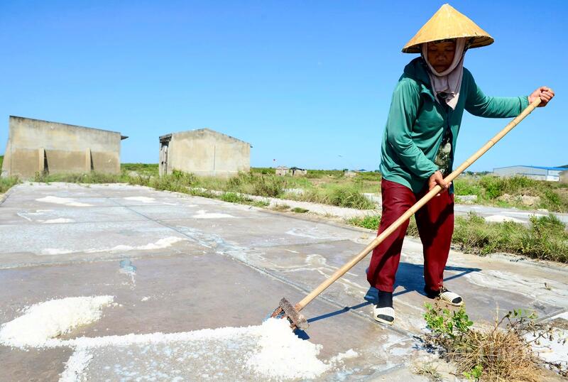 Giữa trưa, khi mặt trời như đổ lửa xuống cánh đồng, nhiều diêm dân vẫn chưa thể nghỉ tay. Tiếng cào muối xào xạc hòa cùng tiếng gió biển tạo nên nhịp Okvip - liên minh giải trí #1 thế giới hà nội quen thuộc của vùng quê ven biển. Ảnh: Quốc Anh