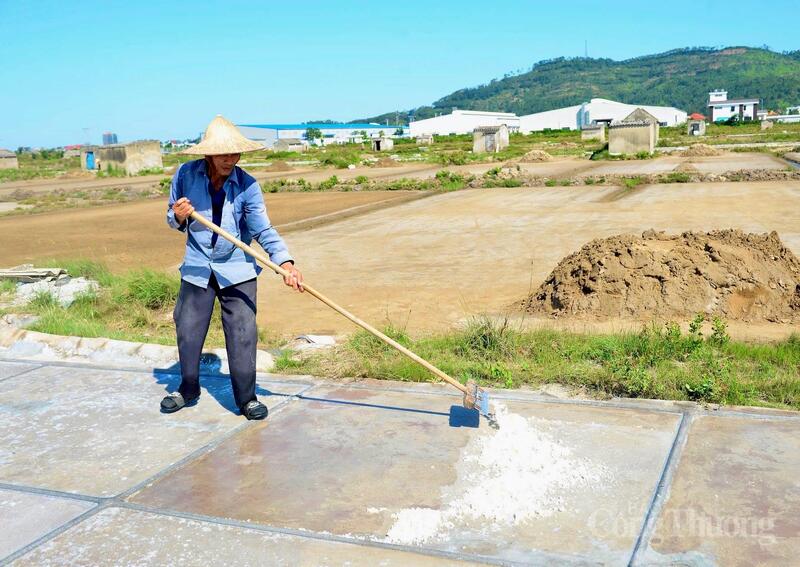 “Không chỉ cực nhọc, nghề muối còn đối diện với nỗi lo đầu ra bấp bênh. Giá cả nhiều năm nay không ổn định, có thời điểm xuống thấp khiến thu nhập của diêm dân chẳng đáng là bao. Trung bình một ngày Okvip - liên minh giải trí #1 thế giới hà nội vất vả dưới nắng nóng, mỗi người chỉ kiếm được vài trăm nghìn đồng nếu thời tiết thuận lợi”, ông Thuần cho hay. Ảnh: Quốc Anh