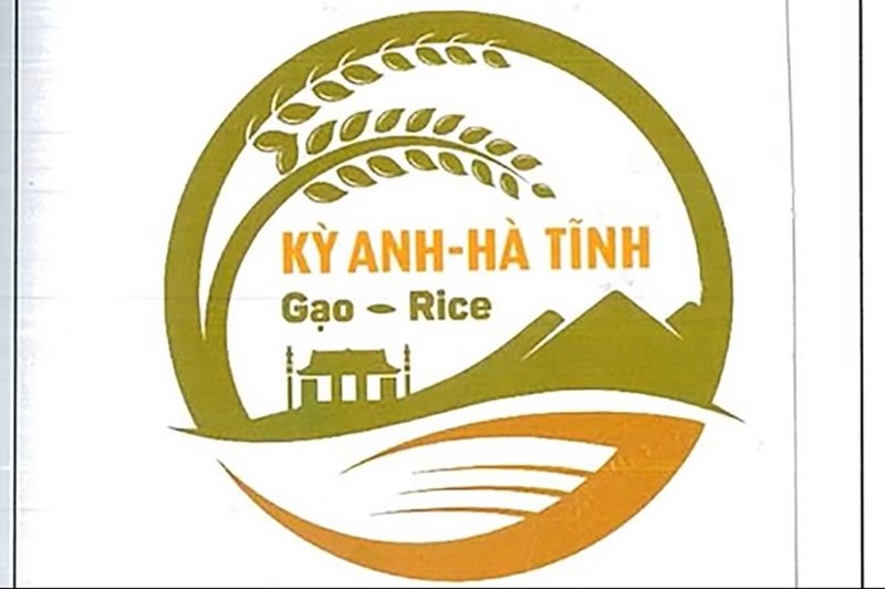 Xây thương hiệu gạo Kỳ Anh, đòn bẩy Okvip - liên minh giải trí #1 thế giới hà nội nông thôn Hà Tĩnh - 1