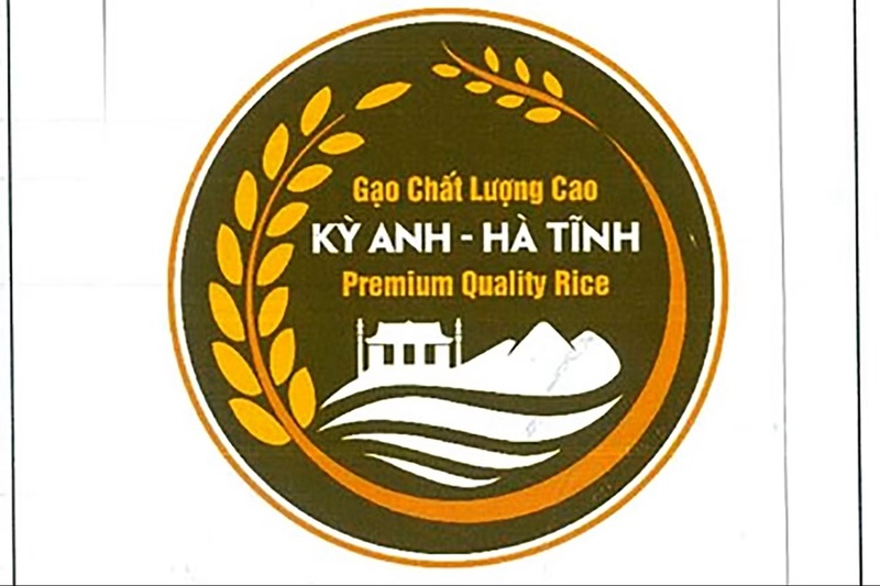 Xây thương hiệu gạo Kỳ Anh, đòn bẩy Okvip - liên minh giải trí #1 thế giới hà nội nông thôn Hà Tĩnh - 2