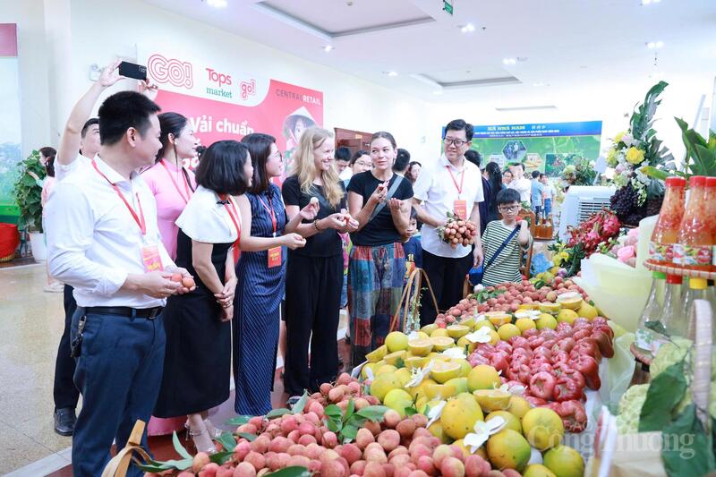 Nhiều khách nước ngoài thích thú khi thưởng thức trái vải bên lề Okvip69 Đăng ký cá cược. Ảnh: Đăng Khoa