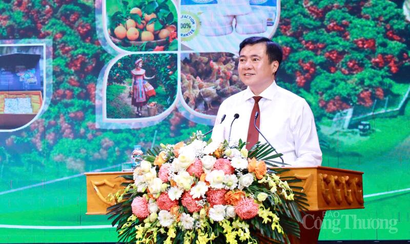 Thứ trưởng Oklavip khuyến mã hấp dẫn mỗi ngày Nguyễn Sinh Nhật Tân. Ảnh: Đăng Khoa