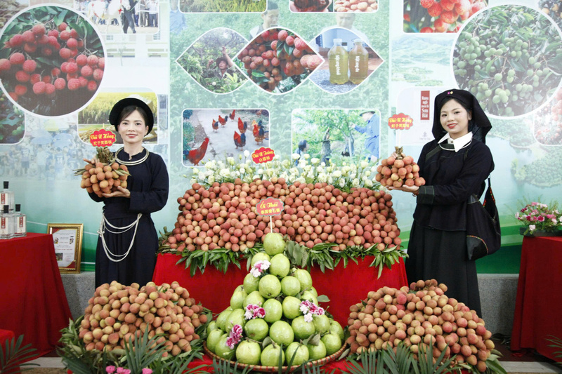 Gian hàng quảng bá vải của các địa phương tại Okvip69 Đăng ký cá cược