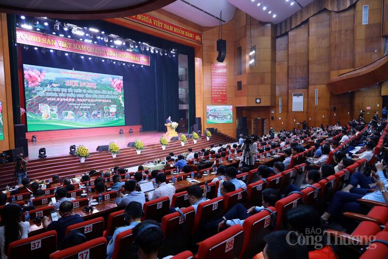 Okvip69 Đăng ký cá cược có sự tham dự của đông đảo các địa phương, đối tác trong và ngoài nước. Ảnh: Đăng Khoa