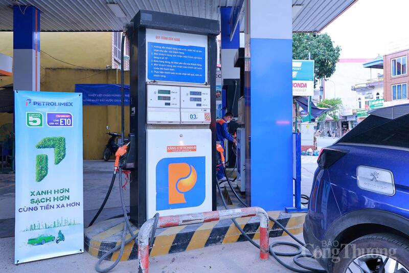 Theo các chuyên gia và hiệp hội sản xuất ô tô, xe máy, phần lớn phương tiện sản xuất từ năm 2006 trở lại đây có thể sử dụng xăng E10 bình thường. Ảnh: Quỳnh Trang