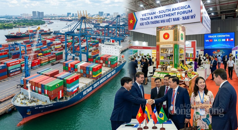 Giải bài toán chi phí logistics và tối ưu hóa các tuyến vận tải biển đóng vai trò quan trọng trong việc nâng cao năng lực cạnh tranh của hàng hóa Việt Nam tại khu vực Nam Mỹ. Ảnh minh hoạ