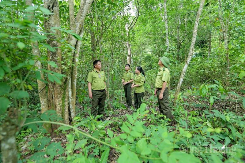 Lực lượng kiểm lâm Mường Lát cùng chính quyền địa phương đang căng mình bám địa bàn, tăng cường tuần tra, kiểm soát nhằm bảo vệ an toàn rừng trong những ngày nắng nóng. Ảnh: Quốc Anh