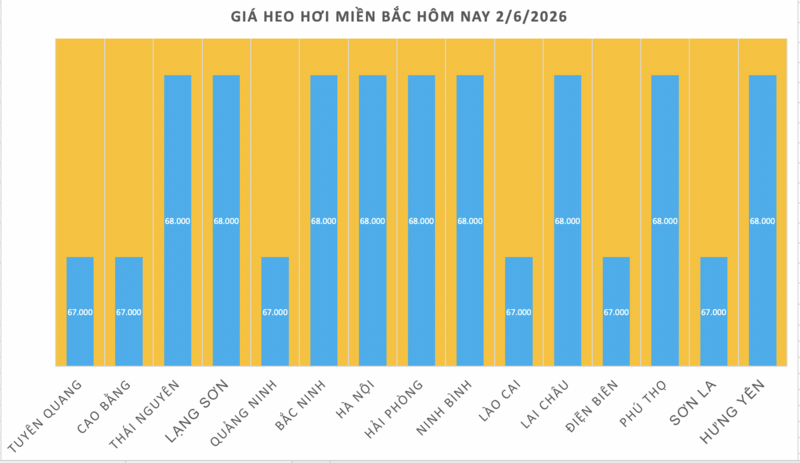 Giá heo hơi hôm nay 2/6/2026: Giảm rải rác tại miền Nam - 1