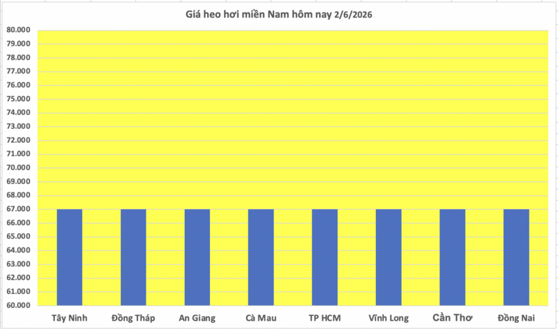Giá heo hơi hôm nay 2/6/2026: Giảm rải rác tại miền Nam - 3