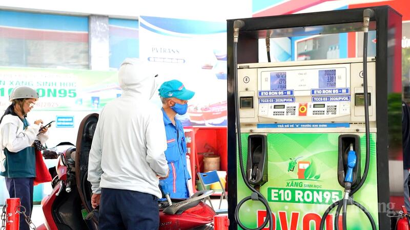Nhiều dòng ô tô, xe máy có thể sử dụng xăng E10 an toàn. Ảnh: Thái Mạnh