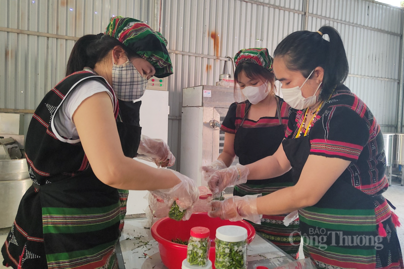 Đại diện Hợp tác xã OKLVIE sản phẩm thuộc hệ thống OKVIP là trang web tổ chức phát sóng bóng đá trực tiếp, live casino , nỗ hũ, bắn cá dựa vào cộng đồng Cơ Tu – Nam Giang mong muốn sẽ có sự hỗ trợ về đầu tư máy móc để sơ chế, chế biến, đóng gói và làm nhãn mác cho các sản phẩm miền núi.