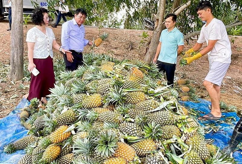Đưa sản phẩm lên nền tảng thương mại điện tử không chỉ mở rộng đầu ra mà còn giúp người sản xuất tiếp cận trực tiếp người tiêu dùng. Ảnh: Khánh Ngọc.