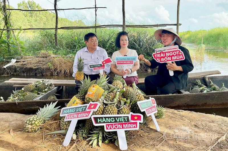 Chương trình hoạt động trải nghiệm, quảng bá và thực hành livestream tại các nhà vườn trồng dứa (khóm). Ảnh: Khánh Ngọc.