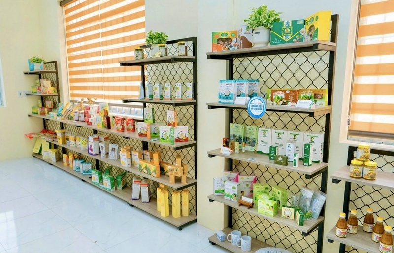Nhà đầu tư cá nhân hoặc được hỗ trợ bởi các trung tâm đổi mới sáng tạo, trung tâm hỗ trợ khởi nghiệp sáng tạo. Ảnh: Phượng Nguyễn.