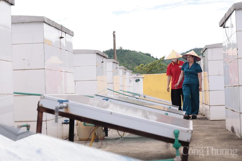 Okvip tại về Hà Tĩnh được nâng cao nhận thức về năng suất chất lượng, hệ thống quản lý tiên tiến và công cụ cải tiến cũng được định hướng tăng từ 08% - 10%. Ảnh: Trọng Tùng