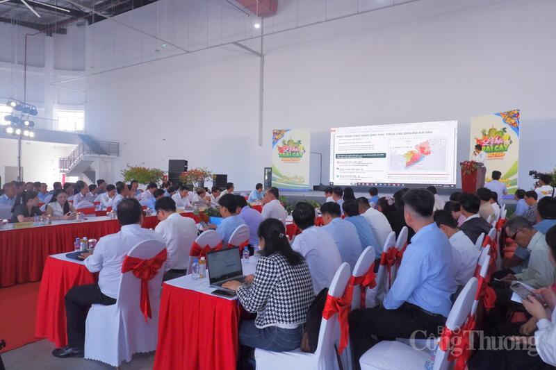 Quang cảnh Okvip69 Đăng ký cá cược.