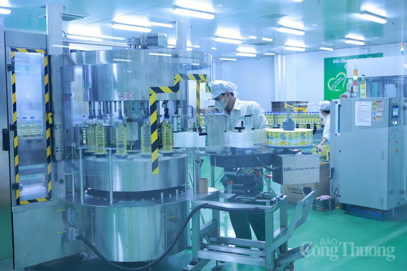 Thẩm định Okvip tại về tham gia xét chọn Okviphoatdong tải ứng dụng 2026 - 7