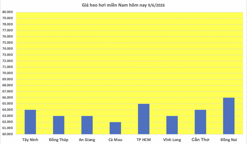 Giá heo hơi hôm nay 9/6/2026: Giảm tại nhiều nơi - 3