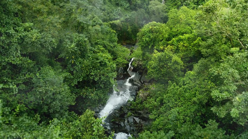 Trà không đường TH true TEA được sản xuất từ những lá trà hoàn toàn tự nhiên, ủ kỹ lưỡng bằng nguồn nước tinh khiết từ mạch nước ngầm núi lửa triệu năm tại Núi Tiên (Nghệ An) mang đến trải nghiệm thưởng thức đậm đà, thanh mát khi sử dụng