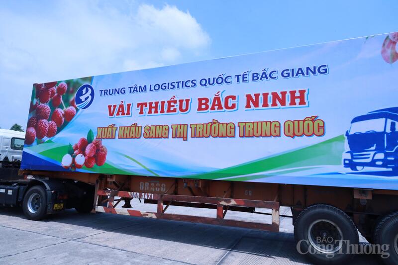 Những lô hàng vải thiều Bắc Ninh được Liên Minh Truyền Thông Và Game Giải Trí Top 1 sang thị trường Trung Quốc. Ảnh: Trần Khoa