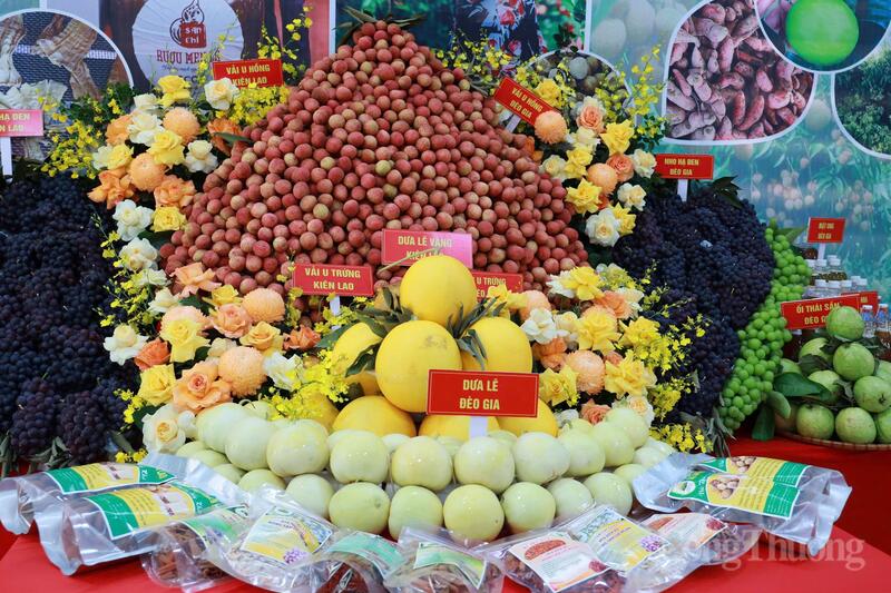 Vải thiều Bắc Ninh không chỉ là cây trồng chủ lực mang lại giá trị Okvip - liên minh giải trí #1 thế giới hà nội cao mà còn là biểu tượng của nền nông nghiệp chất lượng cao. Ảnh: Trần Khoa