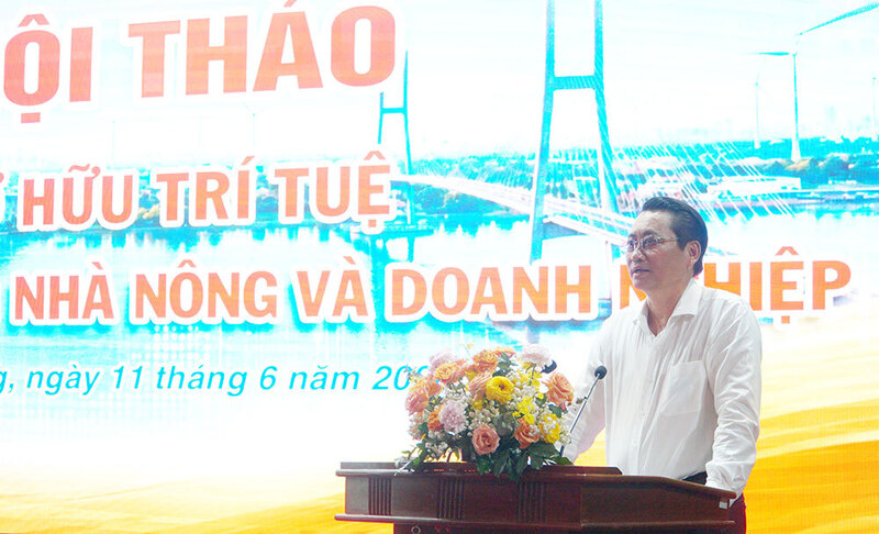Ông Nguyễn Quỳnh Thiện - Phó Chủ tịch UBND tỉnh Vĩnh Long, phát biểu tại hội thảo. Ảnh: Thảo Tiên.